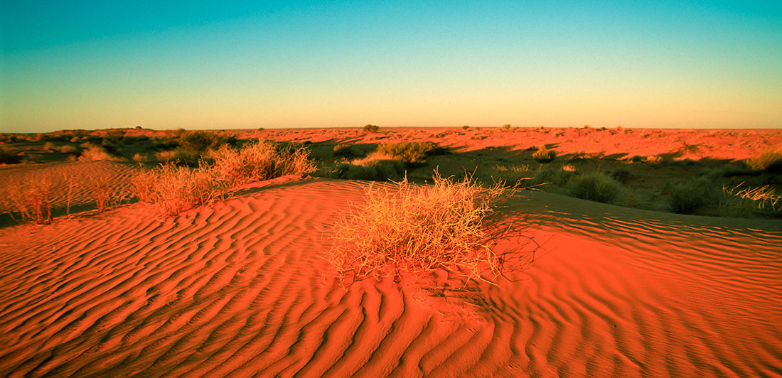 Simpson Desert Dune